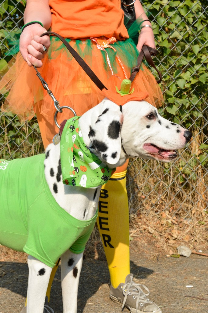 The Fremont Oktoberfest, the annual celebration of all things Bavarian, was held