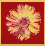 Andy Warhol's Daisy, at TAM