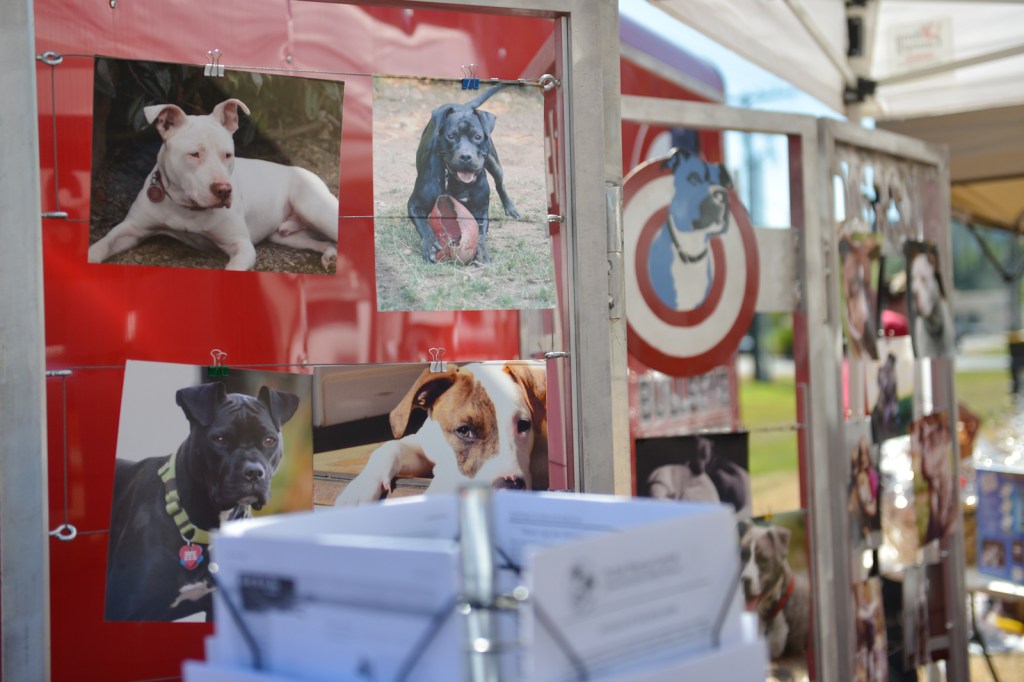 Dog-lovers young and old gathered on Saturday to celebrate the often misunderstood