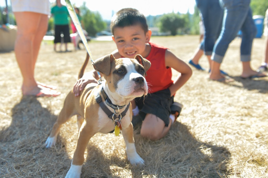 Dog-lovers young and old gathered on Saturday to celebrate the often misunderstood