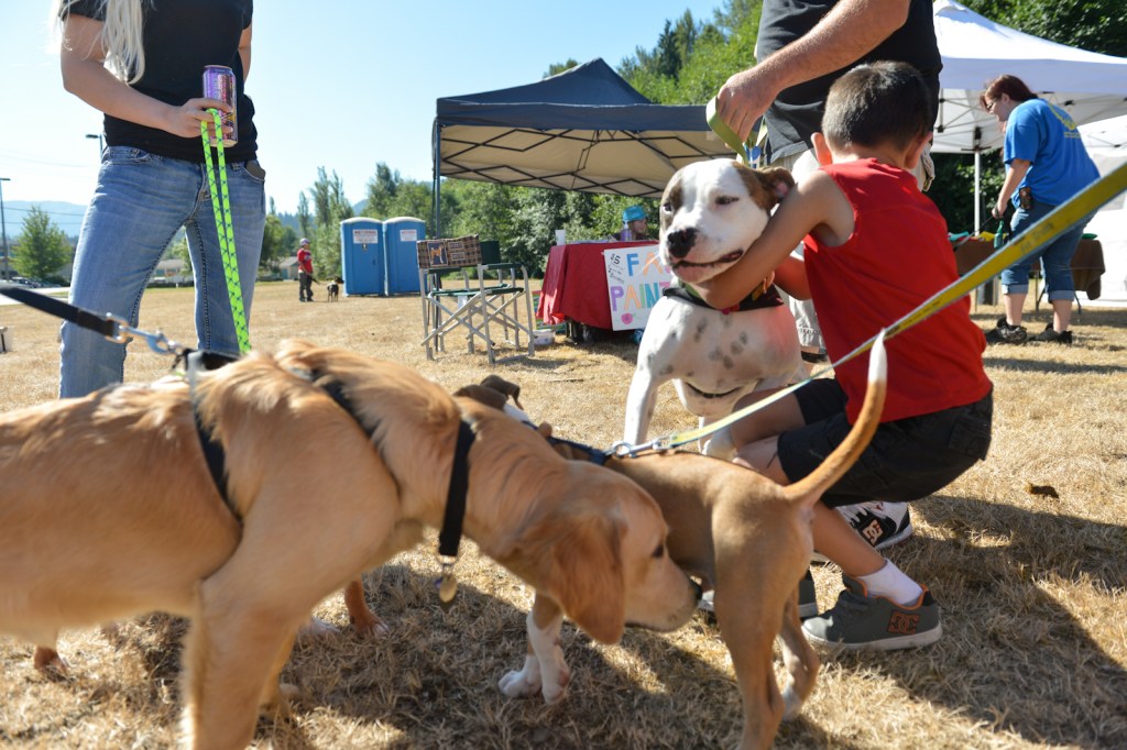 Dog-lovers young and old gathered on Saturday to celebrate the often misunderstood