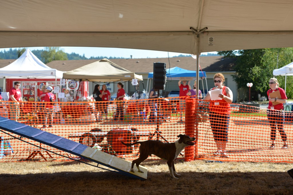 Dog-lovers young and old gathered on Saturday to celebrate the often misunderstood