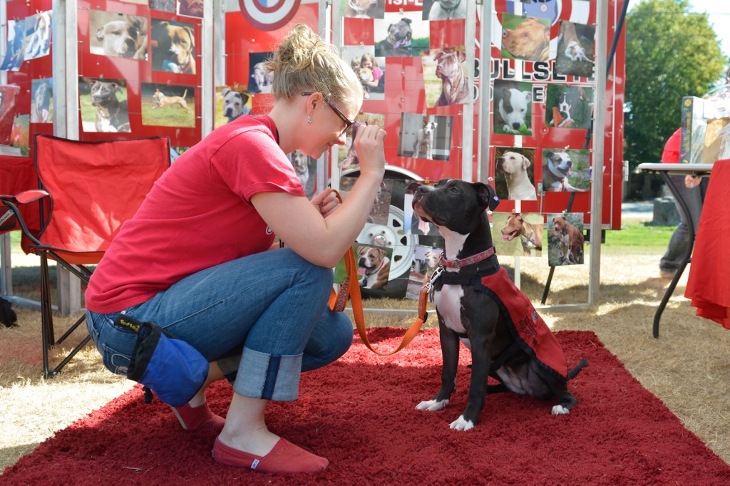 Dog-lovers young and old gathered on Saturday to celebrate the often misunderstood