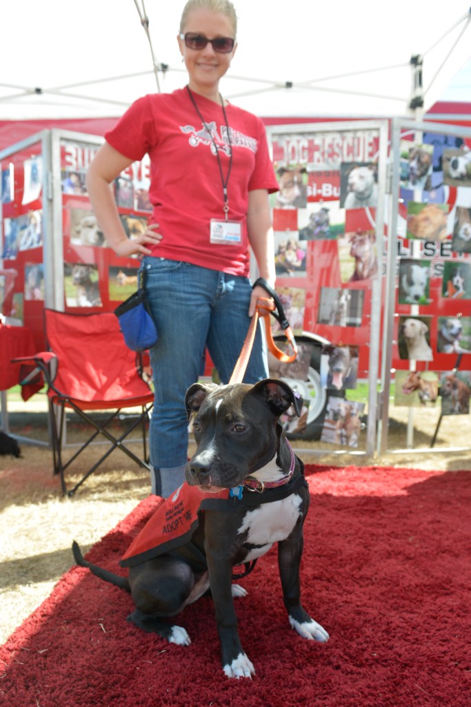 Dog-lovers young and old gathered on Saturday to celebrate the often misunderstood