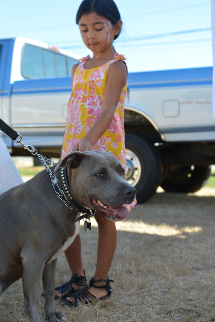 Dog-lovers young and old gathered on Saturday to celebrate the often misunderstood