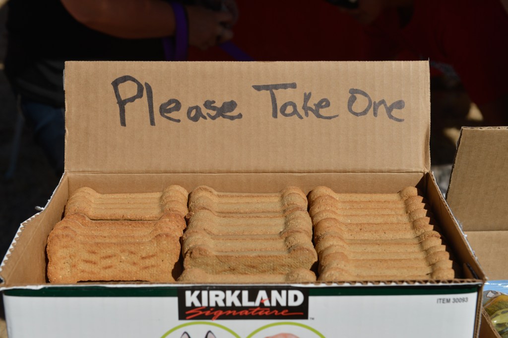 Dog-lovers young and old gathered on Saturday to celebrate the often misunderstood