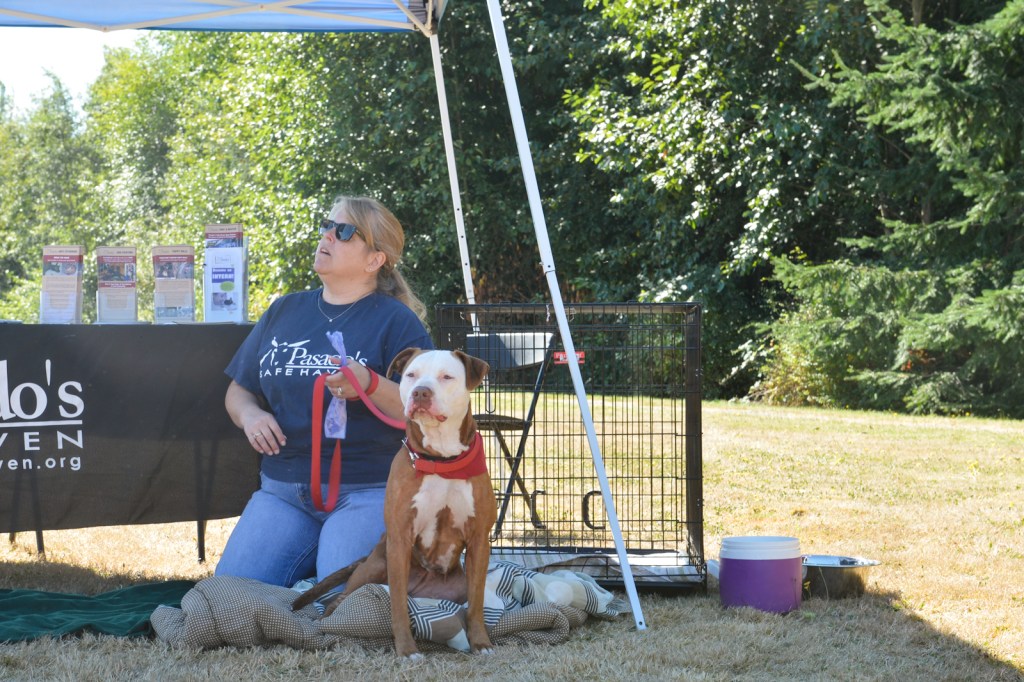 Dog-lovers young and old gathered on Saturday to celebrate the often misunderstood