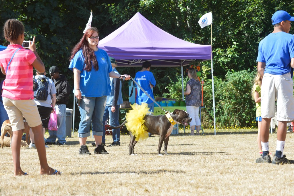 Dog-lovers young and old gathered on Saturday to celebrate the often misunderstood
