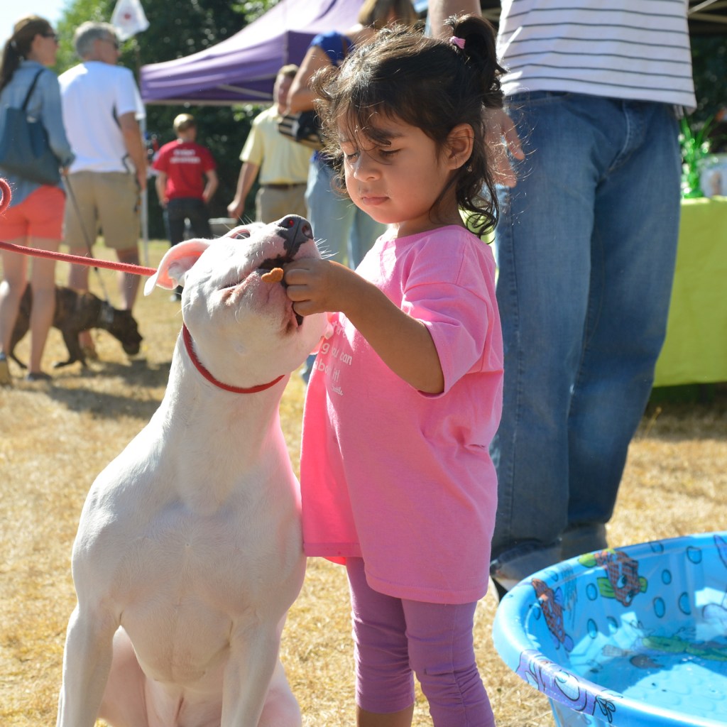 Dog-lovers young and old gathered on Saturday to celebrate the often misunderstood