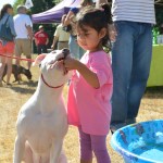 Dog-lovers young and old gathered on Saturday to celebrate the often misunderstood