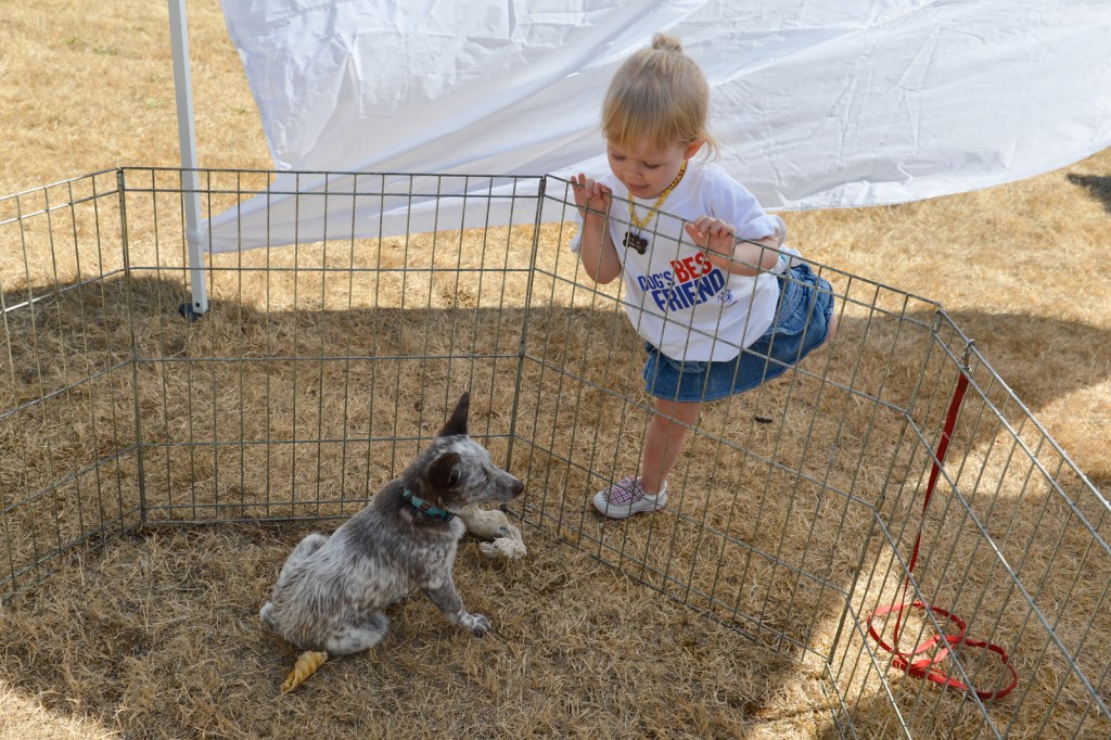Dog-lovers young and old gathered on Saturday to celebrate the often misunderstood