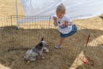 Dog-lovers young and old gathered on Saturday to celebrate the often misunderstood