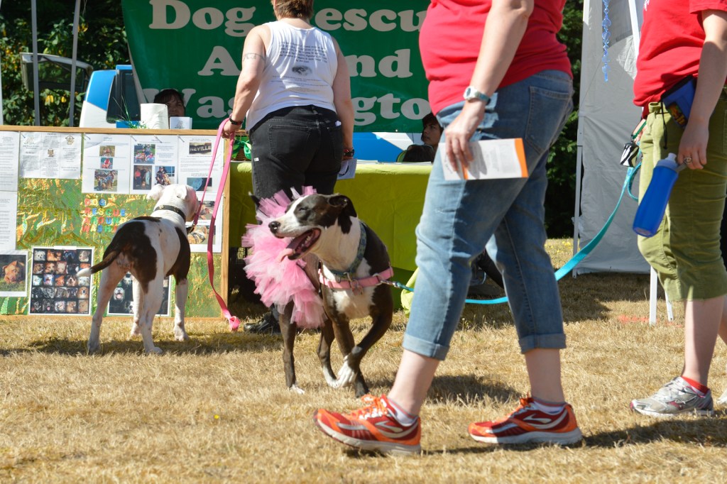Dog-lovers young and old gathered on Saturday to celebrate the often misunderstood