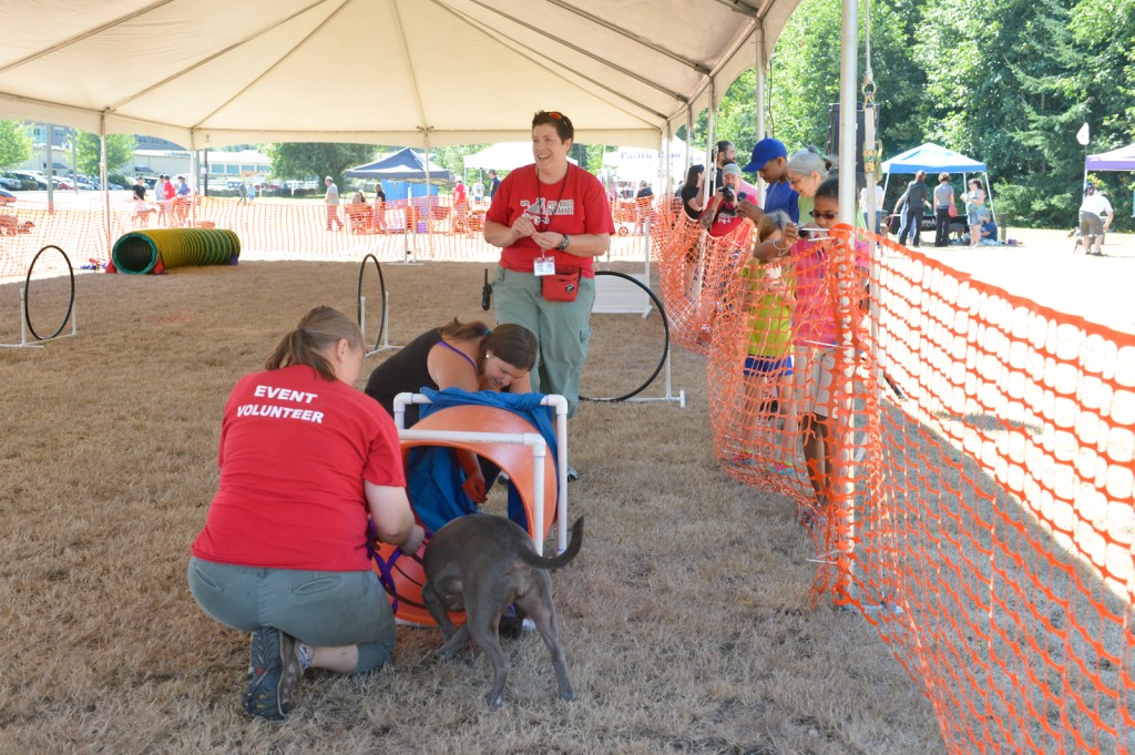 Dog-lovers young and old gathered on Saturday to celebrate the often misunderstood