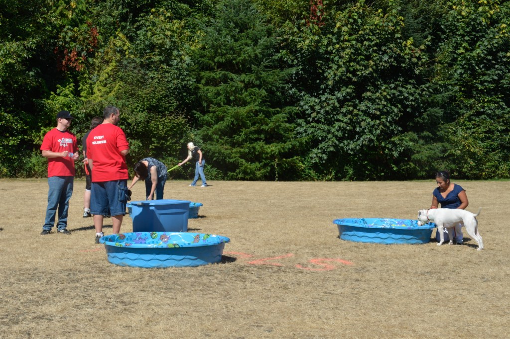 Dog-lovers young and old gathered on Saturday to celebrate the often misunderstood