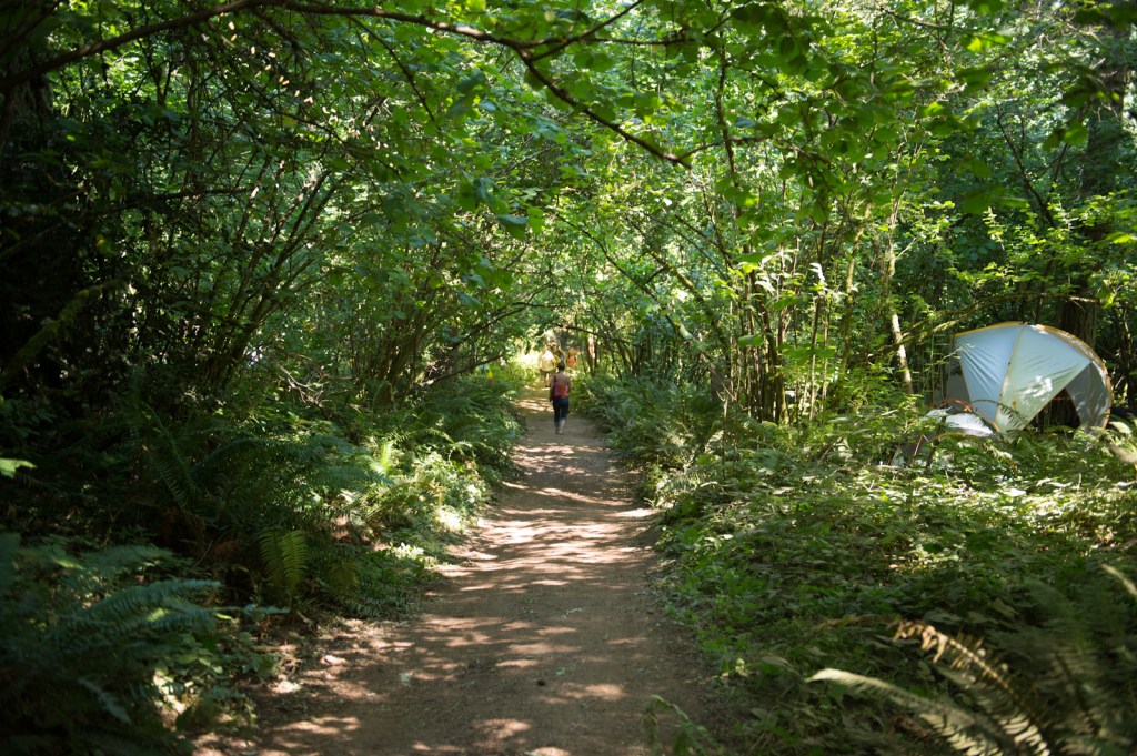 One of many trails on Pendarvis Farm.