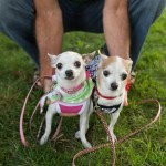 Dogs of all shapes and sizes turned out to the Go Dog