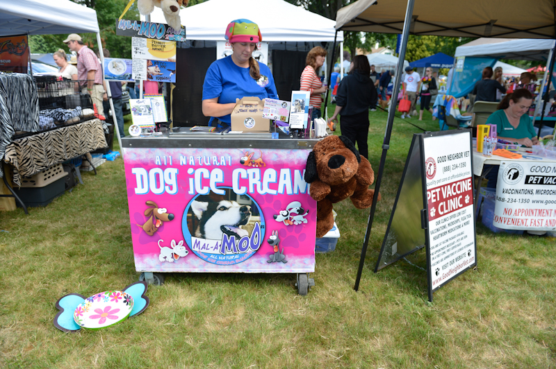 Dogs of all shapes and sizes turned out to the Go Dog