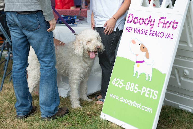 Dogs of all shapes and sizes turned out to the Go Dog