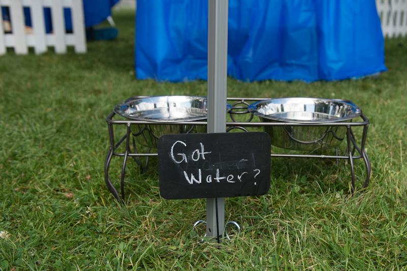 Dogs of all shapes and sizes turned out to the Go Dog