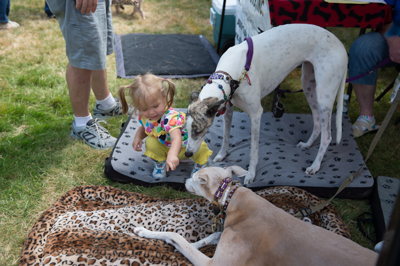 Dogs of all shapes and sizes turned out to the Go Dog
