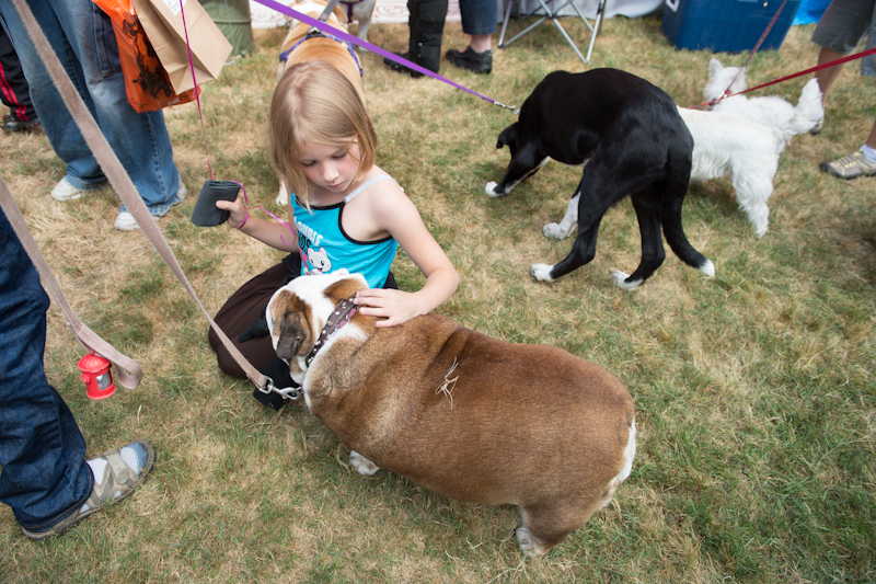 Dogs of all shapes and sizes turned out to the Go Dog