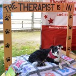 Dogs of all shapes and sizes turned out to the Go Dog