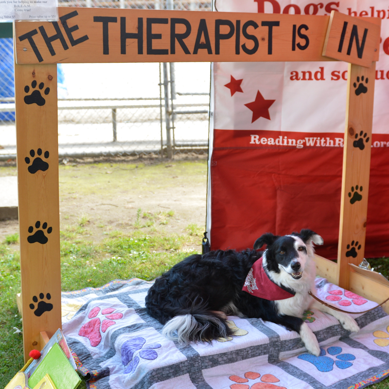 Dogs of all shapes and sizes turned out to the Go Dog