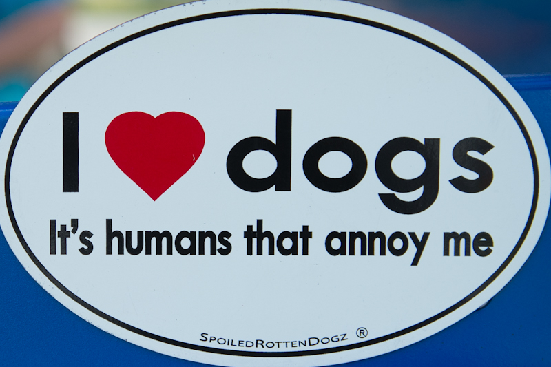 Dogs of all shapes and sizes turned out to the Go Dog