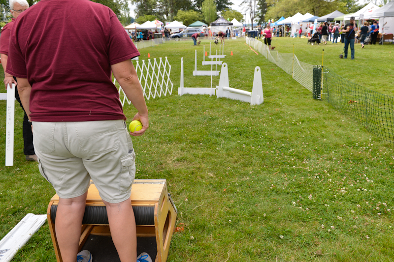 Dogs of all shapes and sizes turned out to the Go Dog
