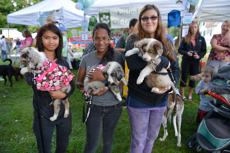 Dogs of all shapes and sizes turned out to the Go Dog