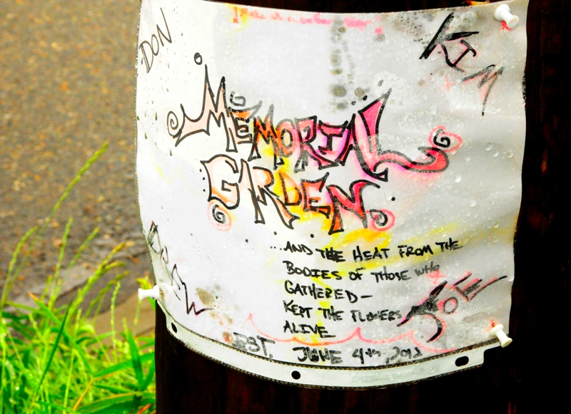 A garden has been created in front of  the restaurant in memory of Drew Kenakedes, Joe Albanese, Kimberly Layfield and Don Largen, who died from gunshots at the cafe in May.