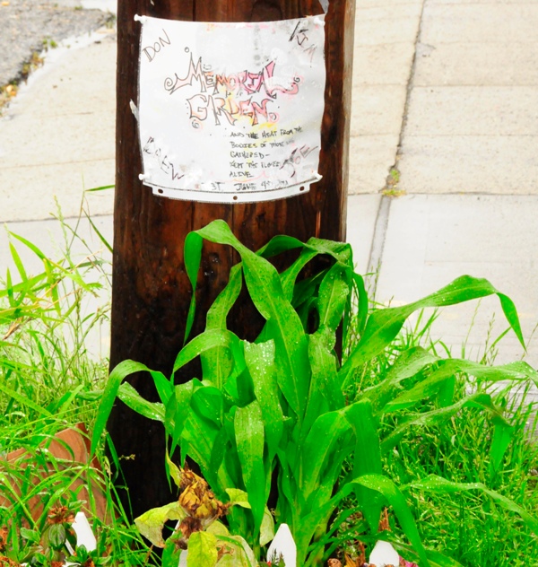 Cafe Racer reopened this weekend, seven weeks after Ian Stawicki opened fire