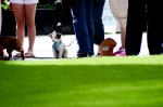 STAR 101.5 and Emerald Downs teamed up to host the preliminary Wiener