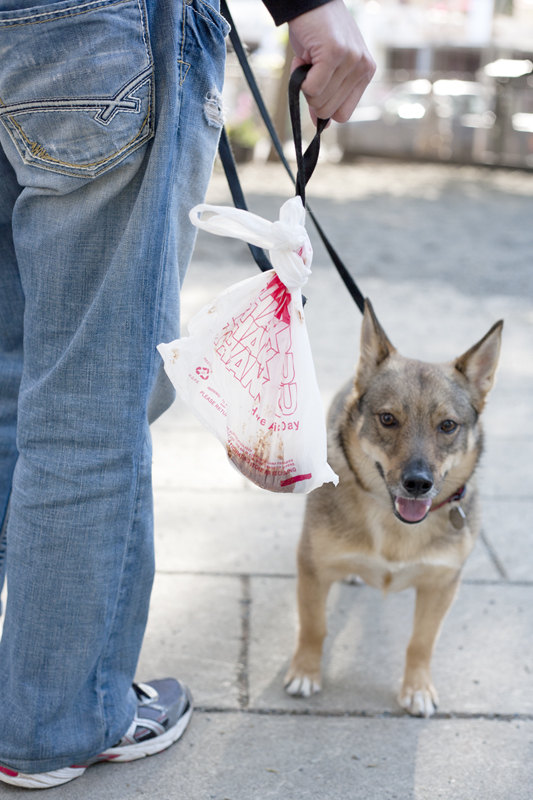 Friends say the Plastic Bag never got over being used to pick up dog shit.