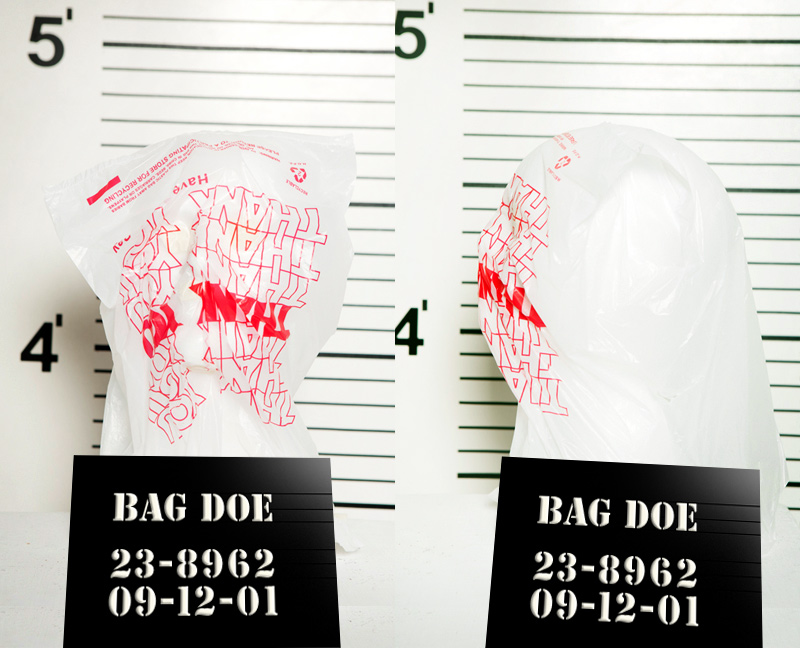 There was an unsavory side to the Plastic Bag. Just ask the small children and marine animals it choked to death.