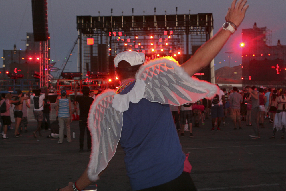 The final day of Electric Daisy Carnival 2012 saw massive crowds come