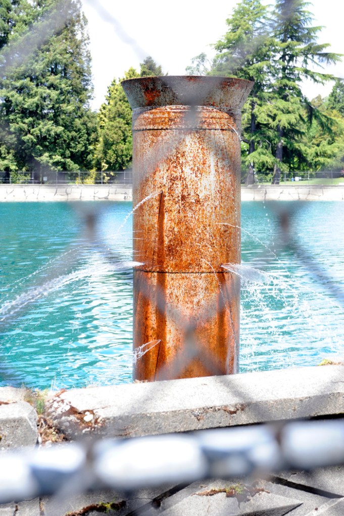 The Olmsted brothers' Volunteer Park contains a meager water spout in the reservoir dismally bounded by a chain-link fence. Time for a lid?