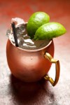 A happy hour special, the Moscow Mule is a delicious refreshing drink for only $5.