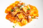 Pappardelle spicy calabrese style ragu of tripe and ox-tail.