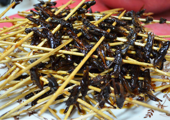 Yes those are bug skewers, and yes folks gathered for a full on bug feast at The Bug Banquet!