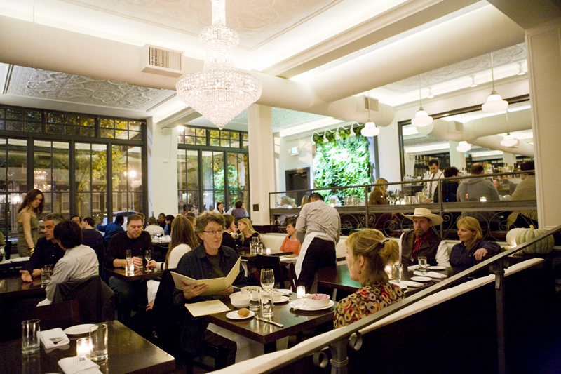 There appear to be many well-to-do diners at The Coterie Room but perhaps everyone looks wealthier by the light of a drop-crystal chandelier.