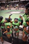 Hot scantily-clad ladies of the Lingerie Football League duked it out on