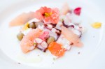 Pacific Octopus with grapefruit.