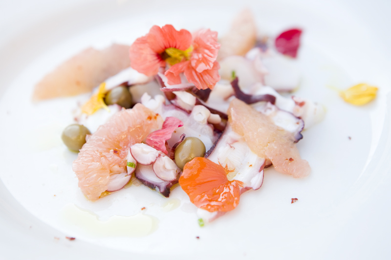 Pacific Octopus with grapefruit.