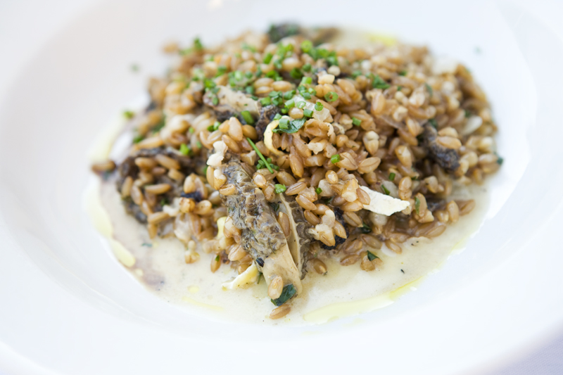 Okanogan emmer, morels, DinahaE™s cheese and truffle honey.