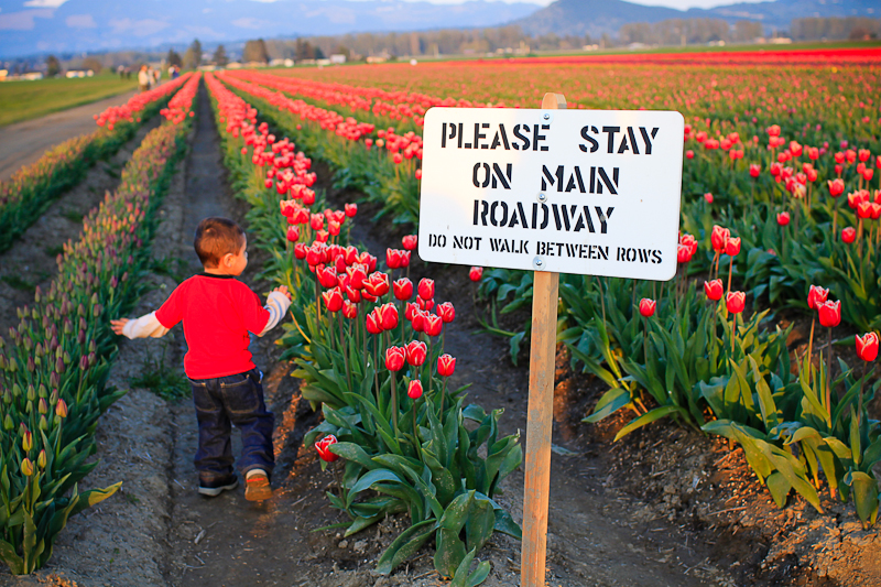 From flash mobs on a cloudy day to beach bodies on a