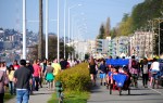 If you've lived in Seattle long enough, you know that people literally
