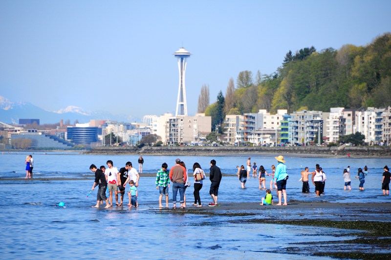 If you've lived in Seattle long enough, you know that people literally