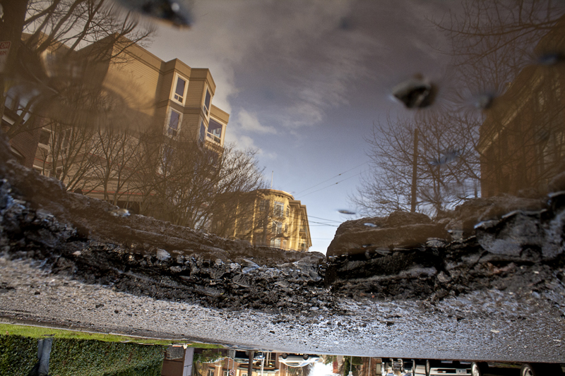 It lurks around every corner, waiting to pounce - Seattle's greatest predator: